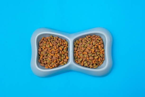 istock Dog croquettes in bowl with blue background 1324951716