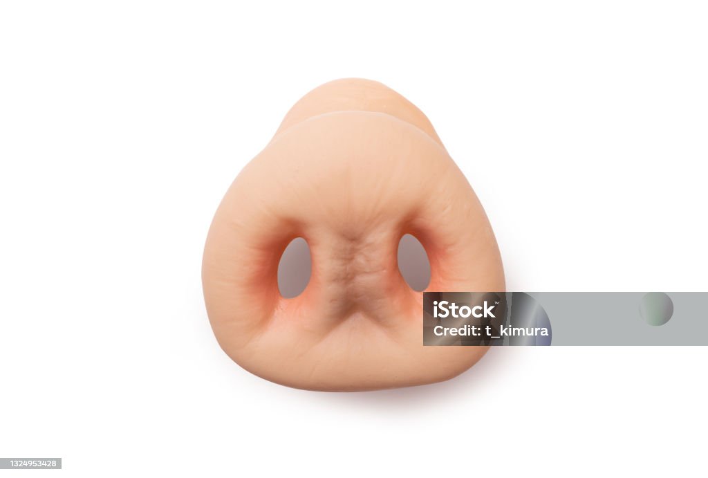 Rubber Piggy nose Rubber Animal nose with clipping path. Nose Stock Photo