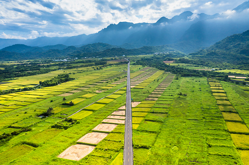 Aerial view of beautiful terraced rice field and road .Taitung ,Taiwan.