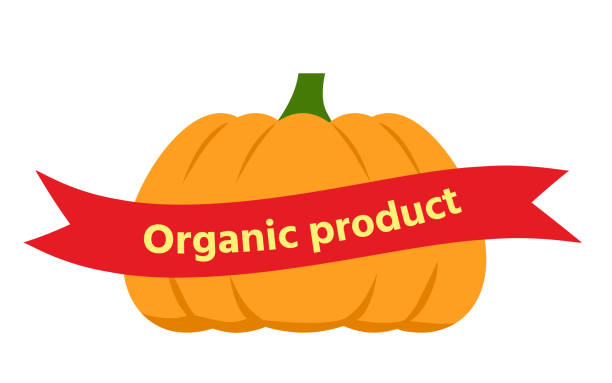 istock Large orange organic pumpkin with a red ribbon 1324957908