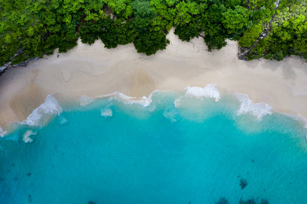 istock Idyllic white sand beach in Bali Indonesia 1324969079