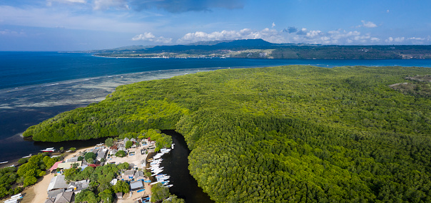 Aerial drone panoramic landscape of the mangrove forest located on the island of Nusa Lembongan in Bali Indonesia.