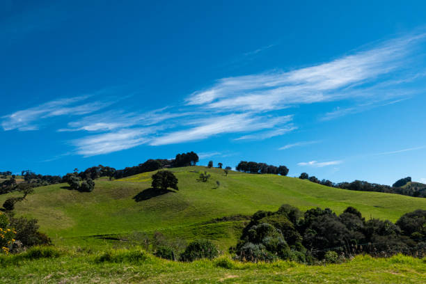 istock Costa Rica landscape 1324973185