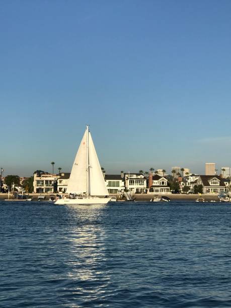 istock Sailboat on the water 1324976315