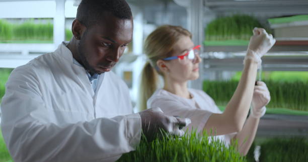 istock scientist makes analysis of plants. 1324981667