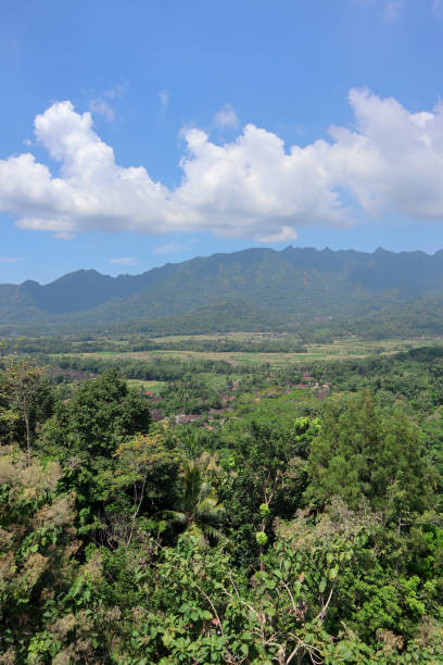 istock tropical green forest with mountains 1324983685