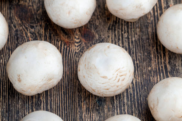 unwashed mushrooms champignon during cooking