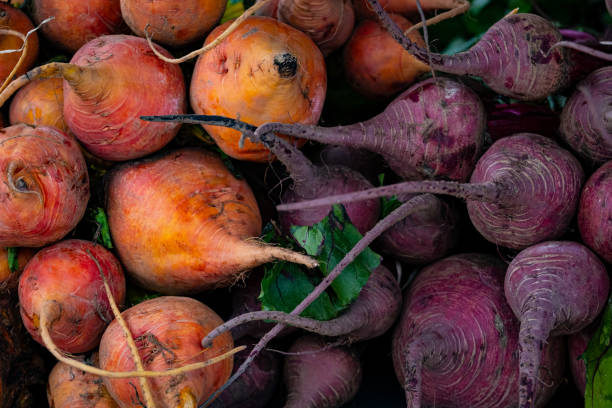 istock Fresh Beets - Gold and Purple 1324989658