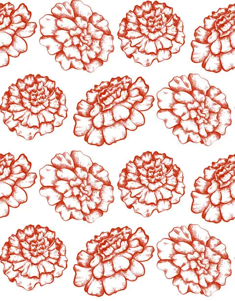 Vector illustration of Seamless pattern with red contour botanical sketch of marigold flowers on white background. Vector textile with floral drawing. Fabric with outline pencil image