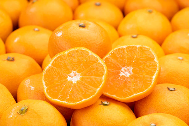 만다린 오렌지, 일본 겨울 과일. - citrus fruit mandarin orange orange large group of objects 뉴스 사진 이미지