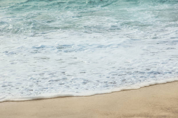 istock Sandy yellow-white picturesque sea beach, summer background 1324991890