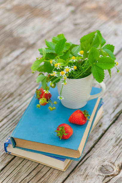istock daisies and strawberries in a cup on books on wooden table 1324992500