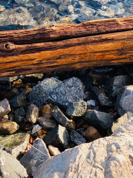 istock Heart rock at waters edge, lake clean, WA. 1324992741