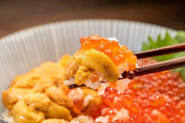 Uni ikura rice bowl. Sea urchin and salmon roe bowl.