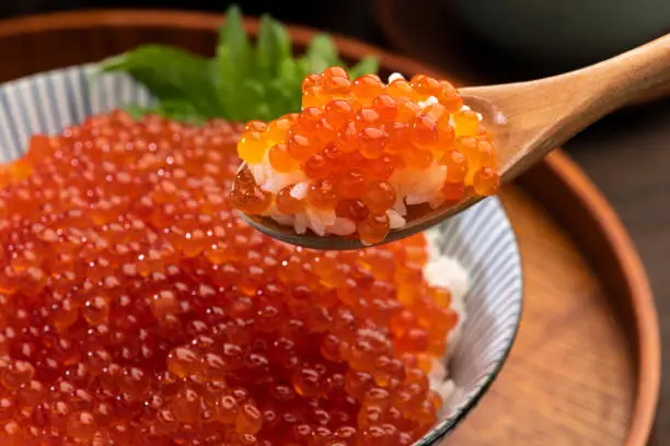 IKURA-DON, Japanese food with salmon roe on rice bowl.