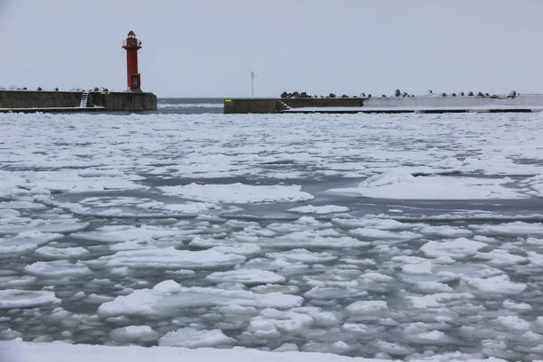 istock The ice floes that came ashore 1324995837