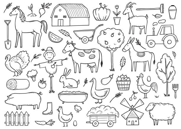 Hand drawn set farm animal, farmer food Hand drawn set farm animal, horse, cow, farmer food. Doodle sketch style. Agriculture life background, icon. Isolated vector illustration. farmer drawings stock illustrations