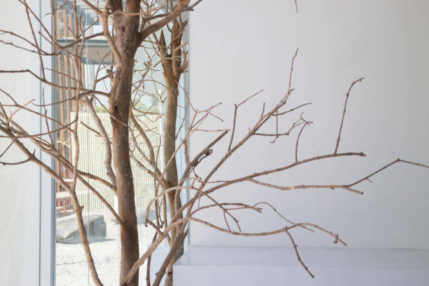 istock Branches of trees decorated in cafe 1324998873