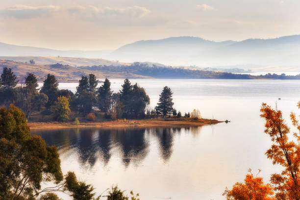Yellow tree branch over Jinabyne lake on Snowy River in Snowy Mountains of Australia - autumn natural scenic landscape.