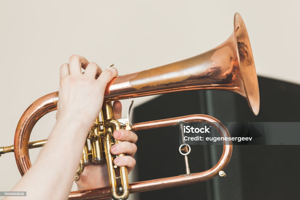Flugel horn in hands, close-up photo Flugel horn in hands, close-up photo with selective focus. Live music background Playing Stock Photo