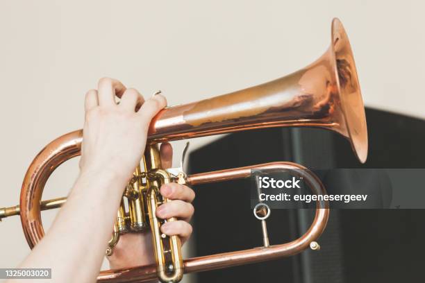 Flugel Horn In Hands Closeup Photo Stock Photo - Download Image Now - Playing, Trumpet, Classical Music
