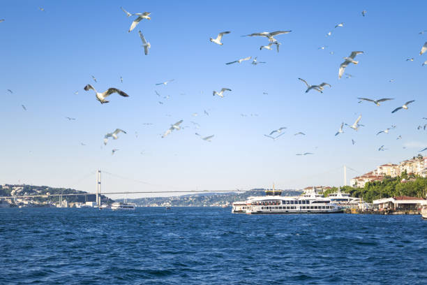 istock Beautiful city is İstanbul, Turkey 1325007257