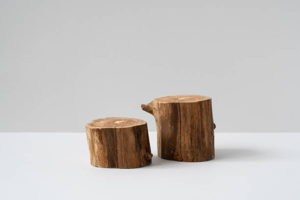 istock Two empty round wooden podium for product presentation on grey background. Natural materials mockup for cosmetic advertising. Eco concept. 1325007719