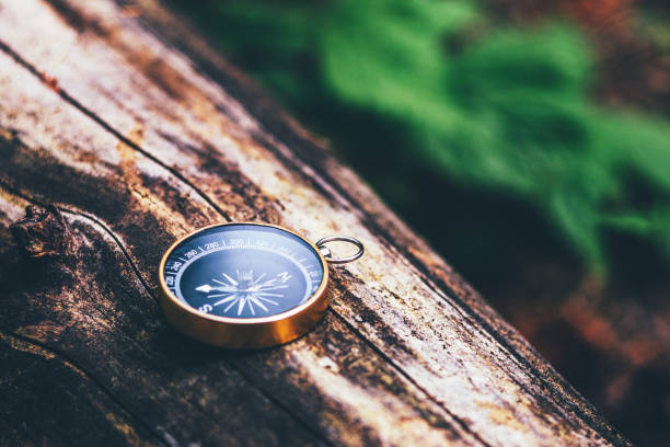 istock Compass on an old tree, terrain orientation concept, hiking 1325007786
