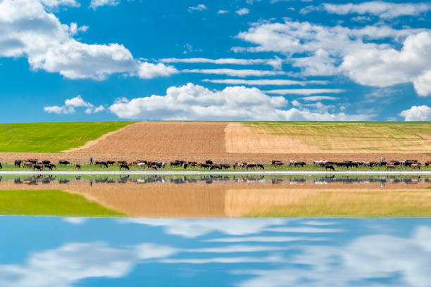 Konya Kulu Duden Lake Water's Edge with Reflection