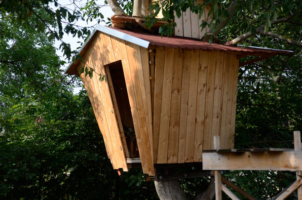istock Wooden house on the tree 1325009184