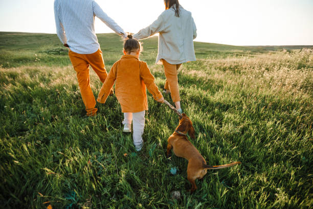 A hipster family walks in a summer field. A hipster family walks in a summer field. Stylish guys fashionable dad stock pictures, royalty-free photos & images