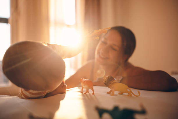 Teddy bear in a room at sunset