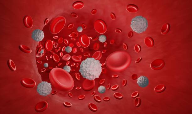 white and red blood cells 3d illustration - bloodstream imagens e fotografias de stock