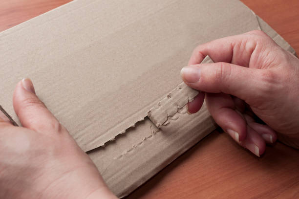 istock Woman opens a blank cardboard envelope on her desk 1325017486