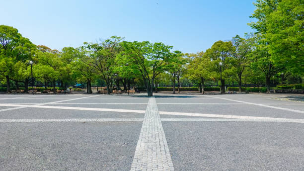 yoyogi park event plaza surrounded by zelkova fresh green - patio imagens e fotografias de stock