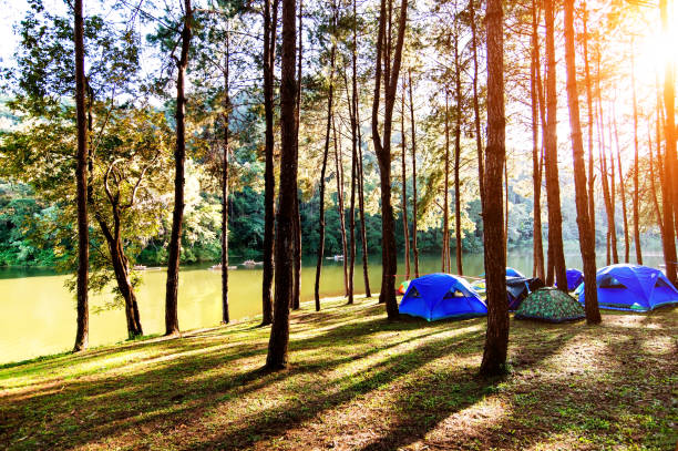 istock Tourist tent in forest camp among meadow 1325017694