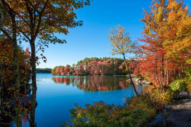 istock Autumn Landscape at the lake 1325018866