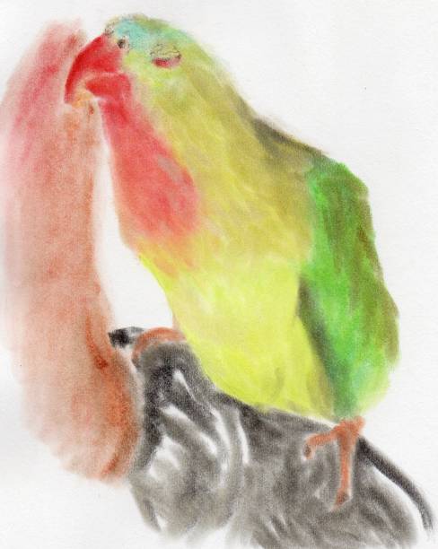 ilustrações, clipart, desenhos animados e ícones de ilustração de papagaio-princesa macho empoleirado - parrot multi colored bird perching