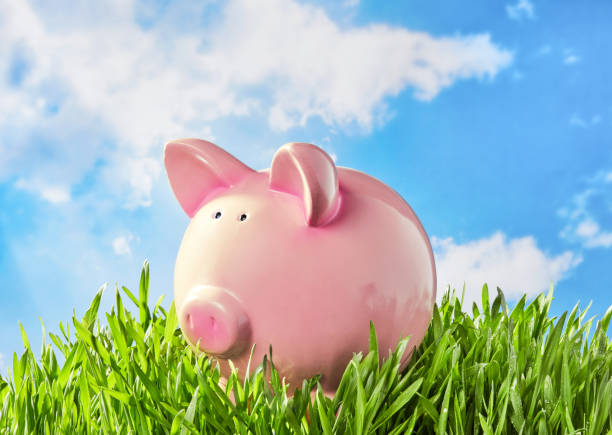 istock Piggy bank in the grass 1325021284