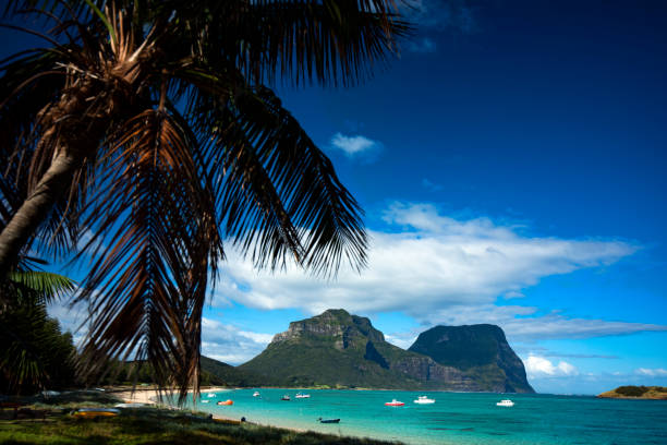 isola lord howe - lord howe island foto e immagini stock