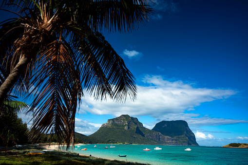 Lord Howe Island. Lord Howe Island is an irregularly crescent-shaped volcanic remnant in the Tasman Sea between Australia and New Zealand, 600 km (320 nmi) directly east of mainland Port Macquarie, 780 km (420 nmi) northeast of Sydney, and about 900 km (490 nmi) southwest of Norfolk Island. It is about 10 km (6.2 mi) long and between 0.3 and 2.0 km (0.19 and 1.24 mi) wide with an area of 14.55 km2 (3,600 acres), though just 3.98 km2 (980 acres) of that comprise the low-lying developed part of the island