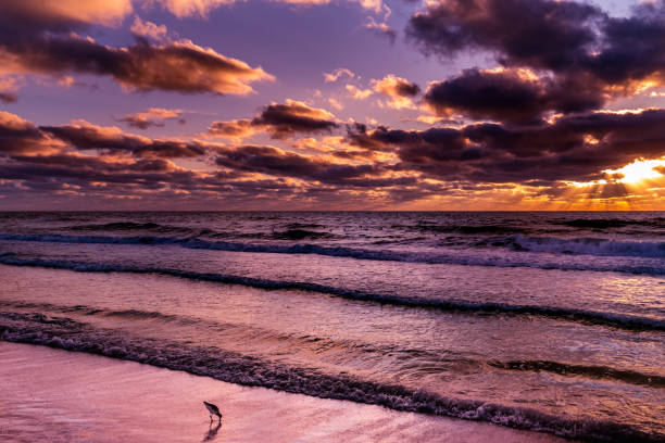 istock Sunset on a beach in Sarasota, Florida 1325027313