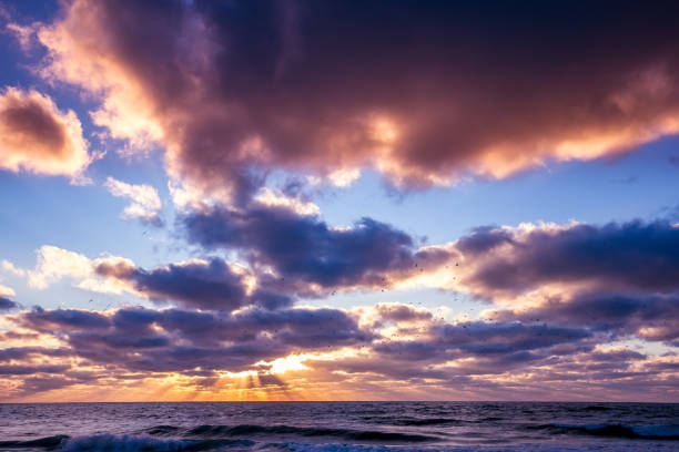 istock Sunset on a beach in Sarasota, Florida 1325027326
