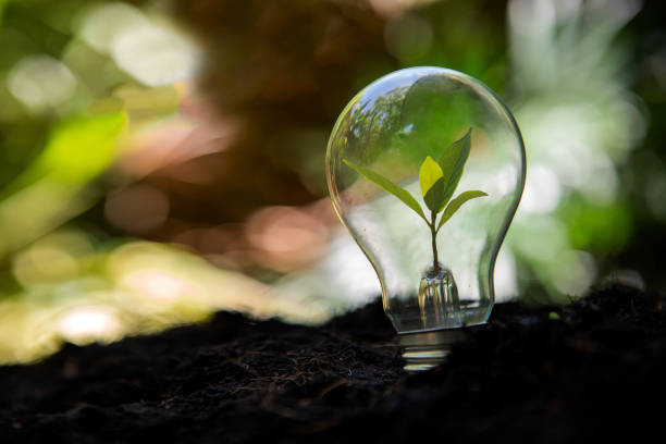 istock Saving energy and environment.  Tree growth in light bulb for saving Ecology energy nature. Eco and Technology concept 1325032625