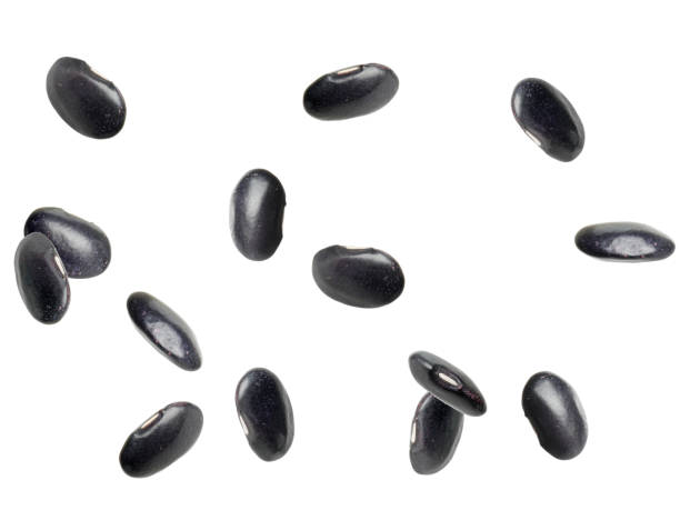 白い背景に落ちる多くの黒豆。ビーガンダイエット - falling beans ストックフォトと画像