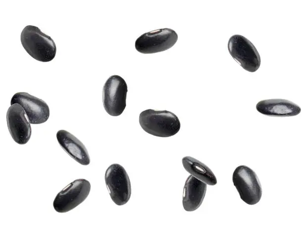 Many black beans falling on white background. Vegan diet