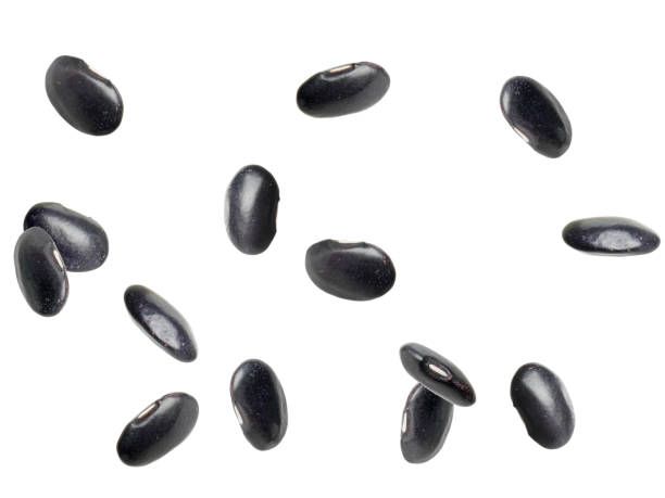 many black beans falling on white background. vegan diet - falling beans imagens e fotografias de stock