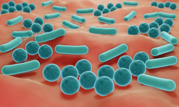 hautmikrobiom, bakterien auf der haut, 3d-illustration - coccus stock-fotos und bilder