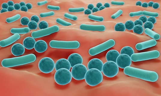 Microbioma de la piel, Bacterias en la piel, Ilustración 3D photo