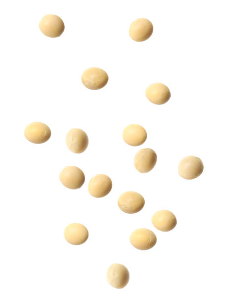 istock Many soy beans falling on white background. Vegan diet 1325033087